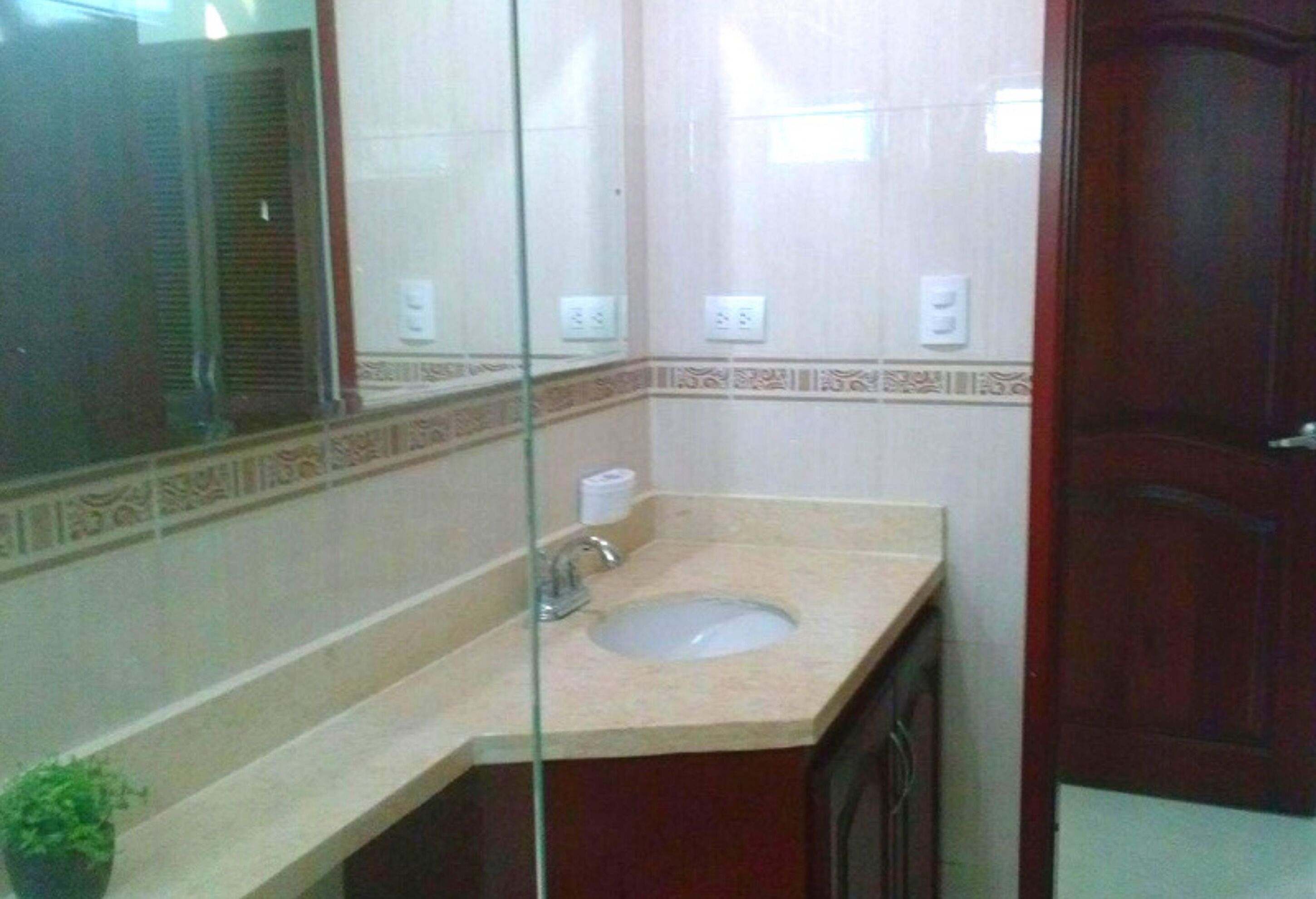 Casa de banho com lavatório, espelho e uma planta em vaso.