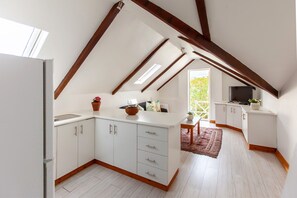 Classic Loft | Living area | Flat-screen TV - The Habit Guest House (Worcester)
