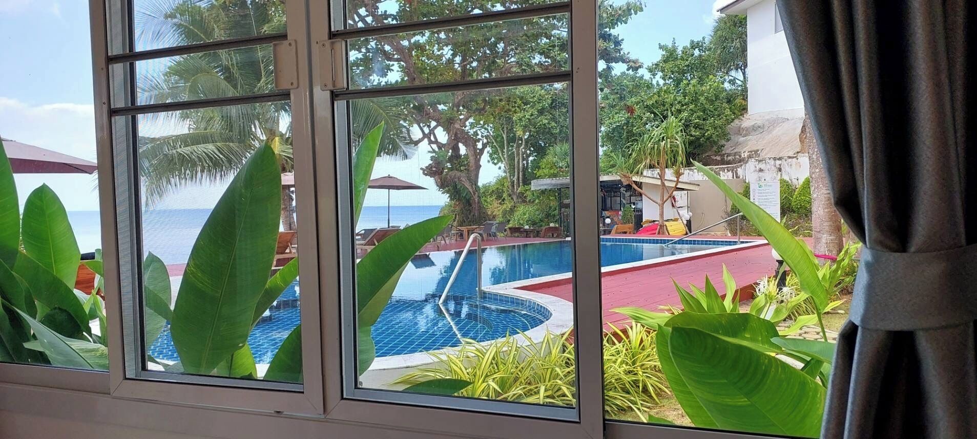 A view of a swimming pool with a red deck, surrounded by lush green plants and palm trees, visible through a window.