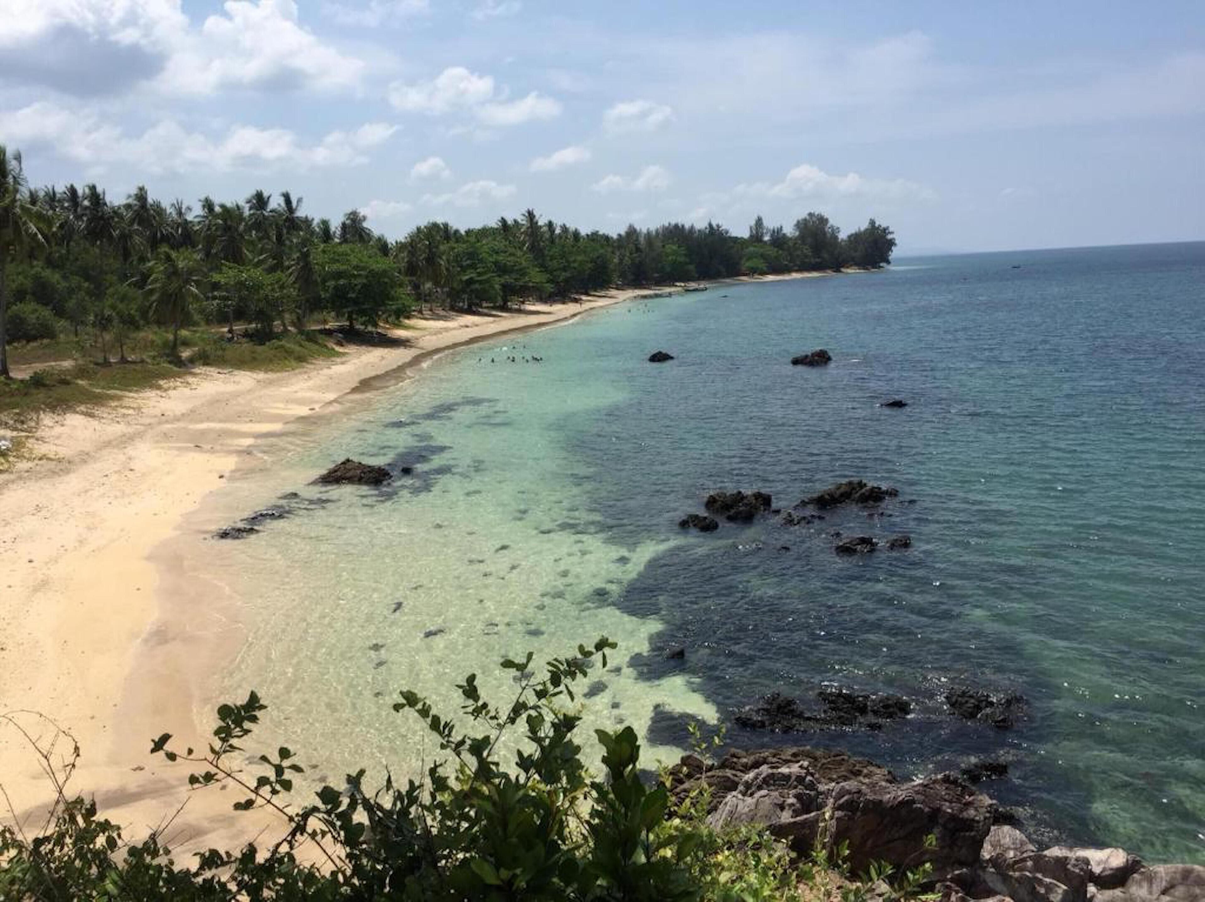 A beach with clear water, sandy shore, and dense forest.