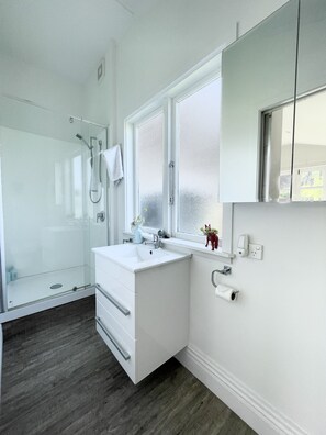 Shower, hair dryer, towels, soap