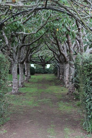 Overnattingsstedets uteområder