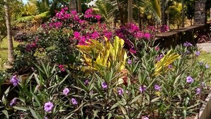 Un jardín con diversas plantas y flores, incluyendo flores moradas y rosas, y una valla de madera delimitando el espacio.