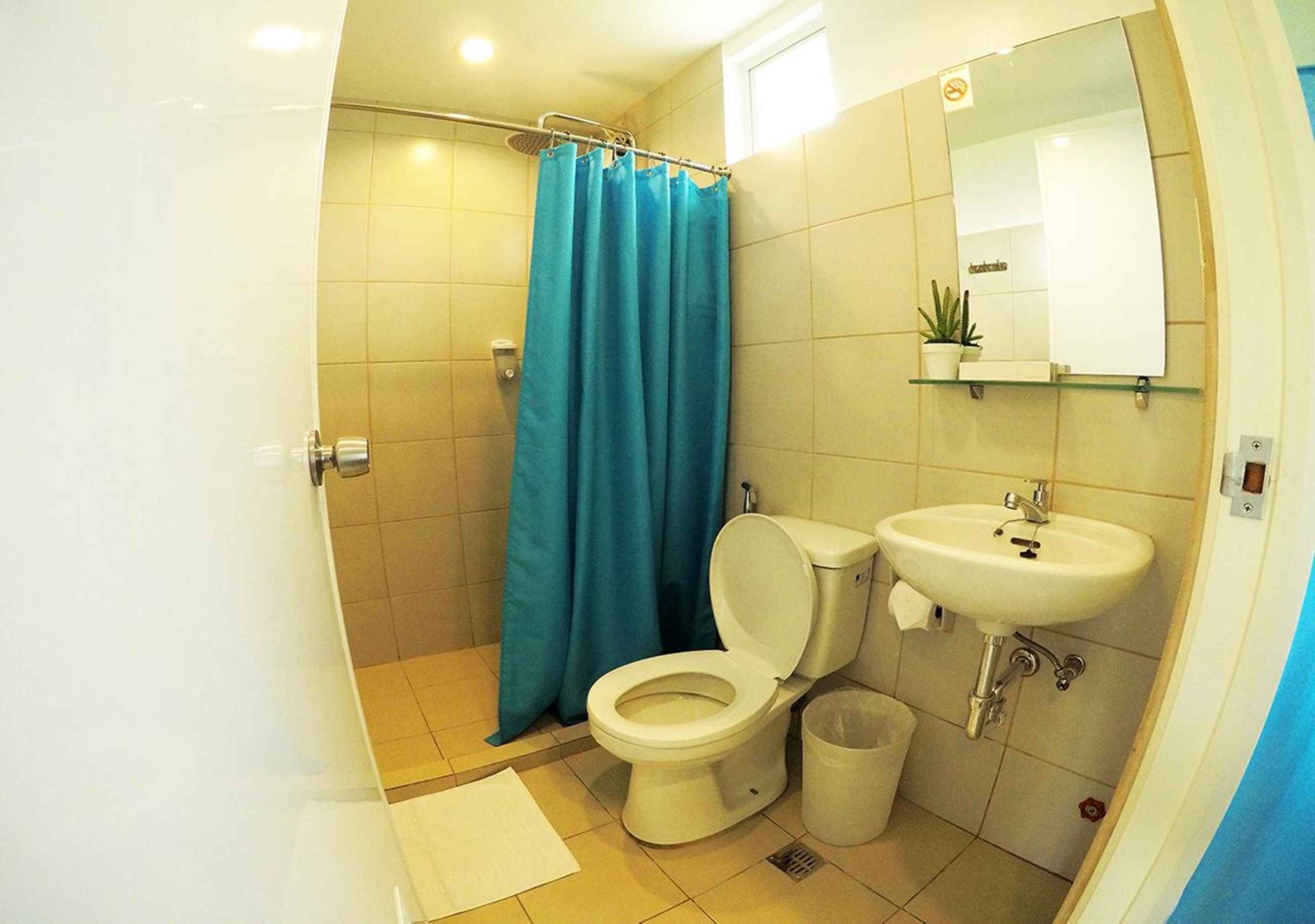A bathroom with a toilet, sink, and shower curtain.