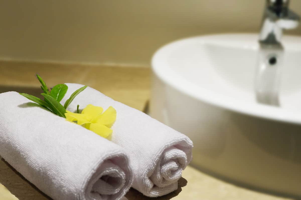 shower, free toiletries, hair dryer, slippers