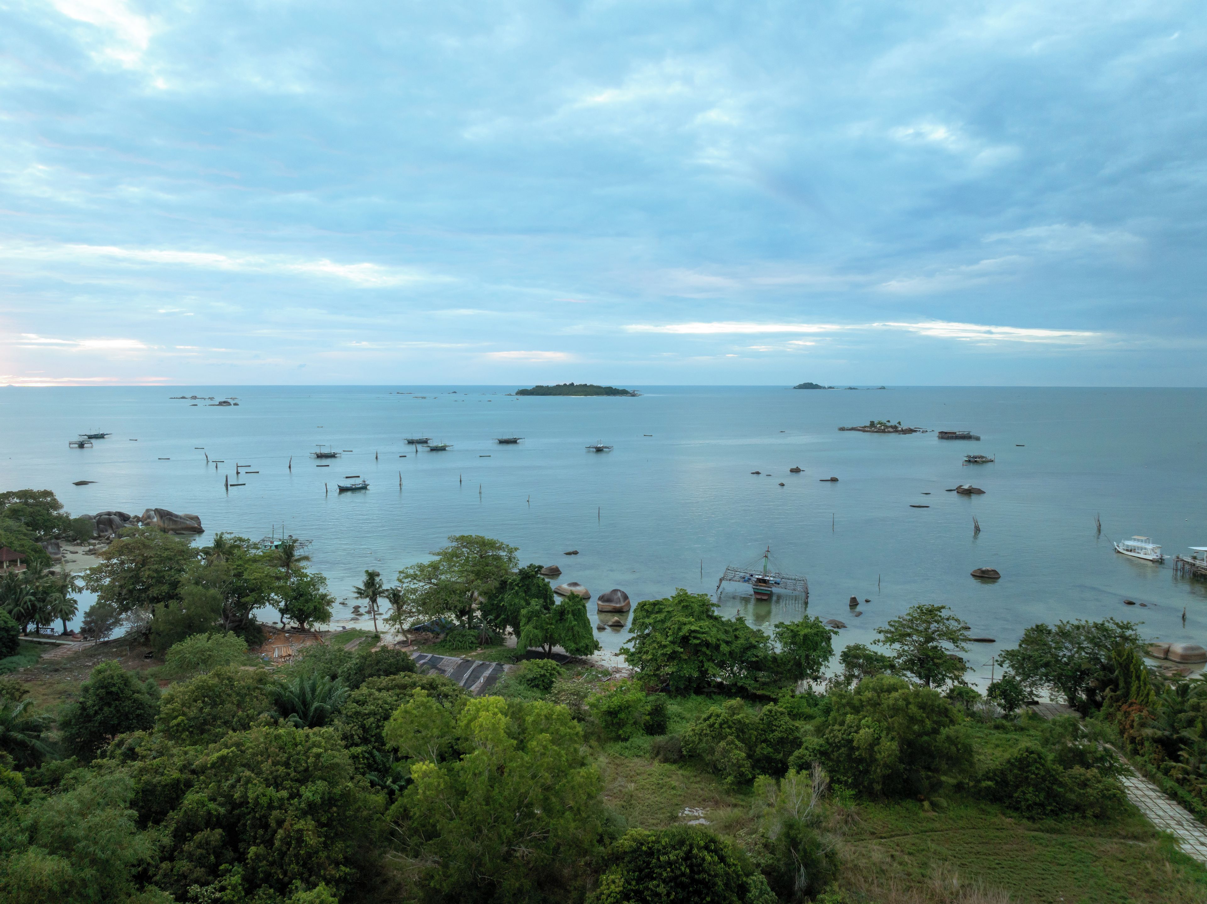 A coastal landscape with boats, greenery, and a clear sky.