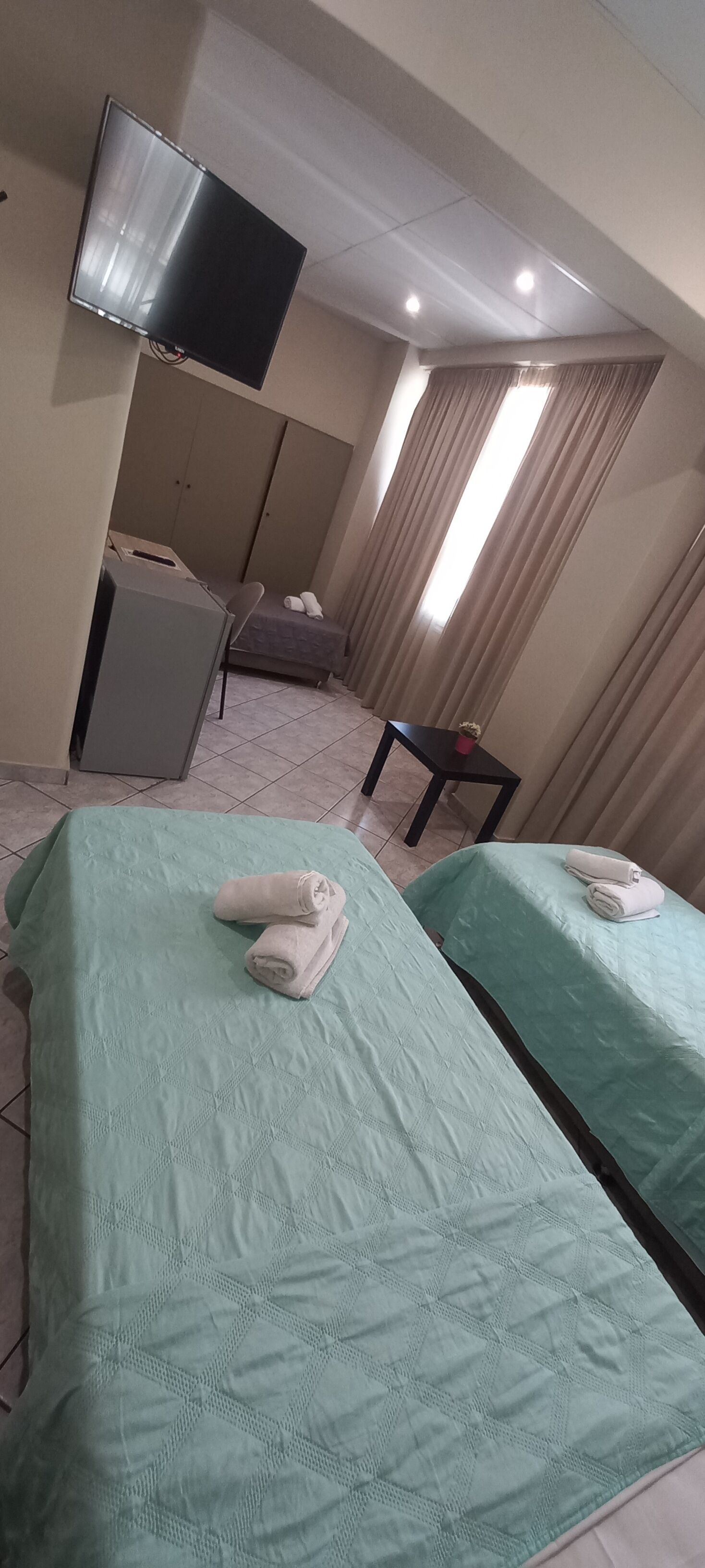 A hotel room with two beds, a TV mounted on the wall, a small table with a plant, and a window with curtains.
