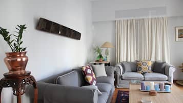 TV connectée, Netflix