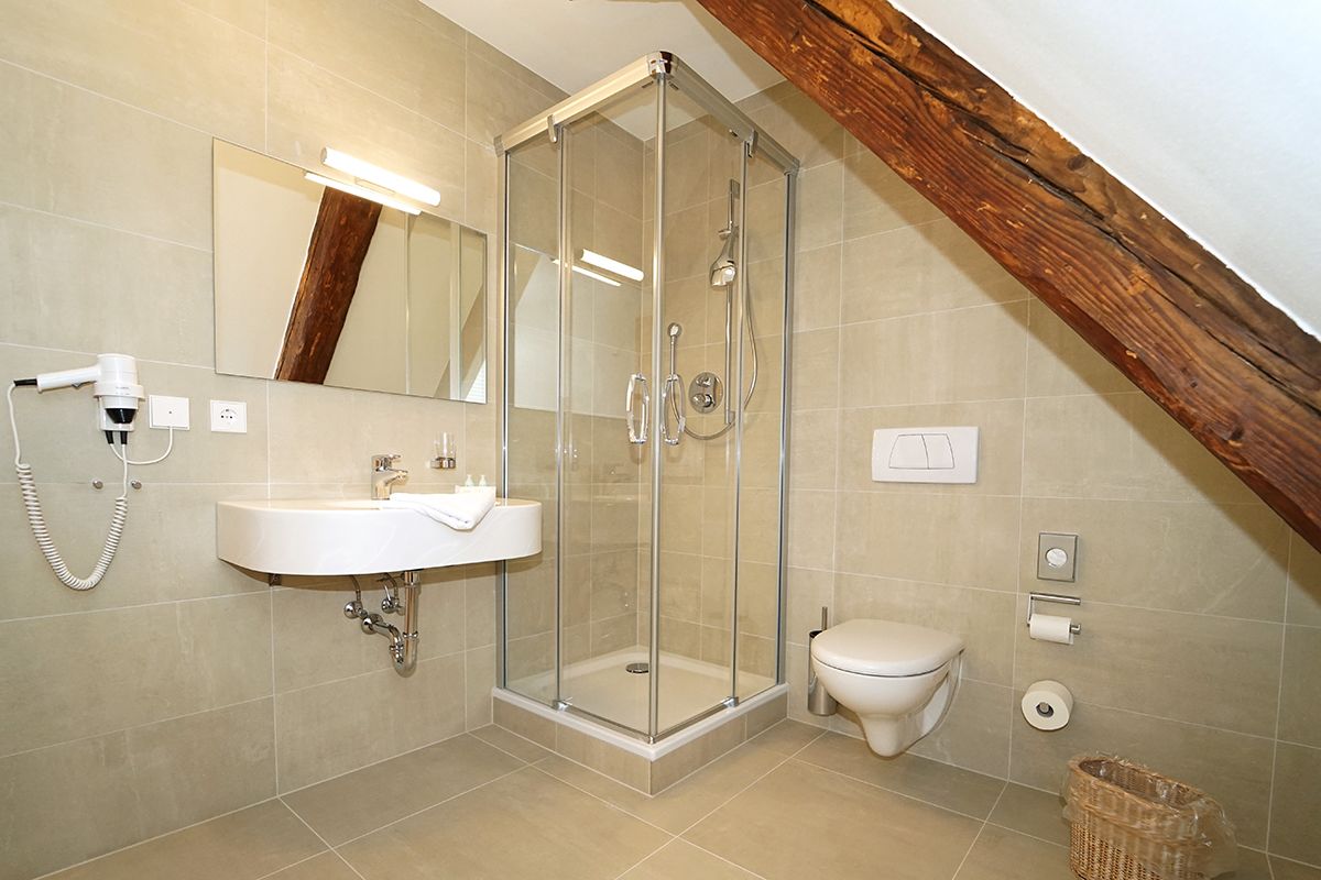 shower, free toiletries, hair dryer