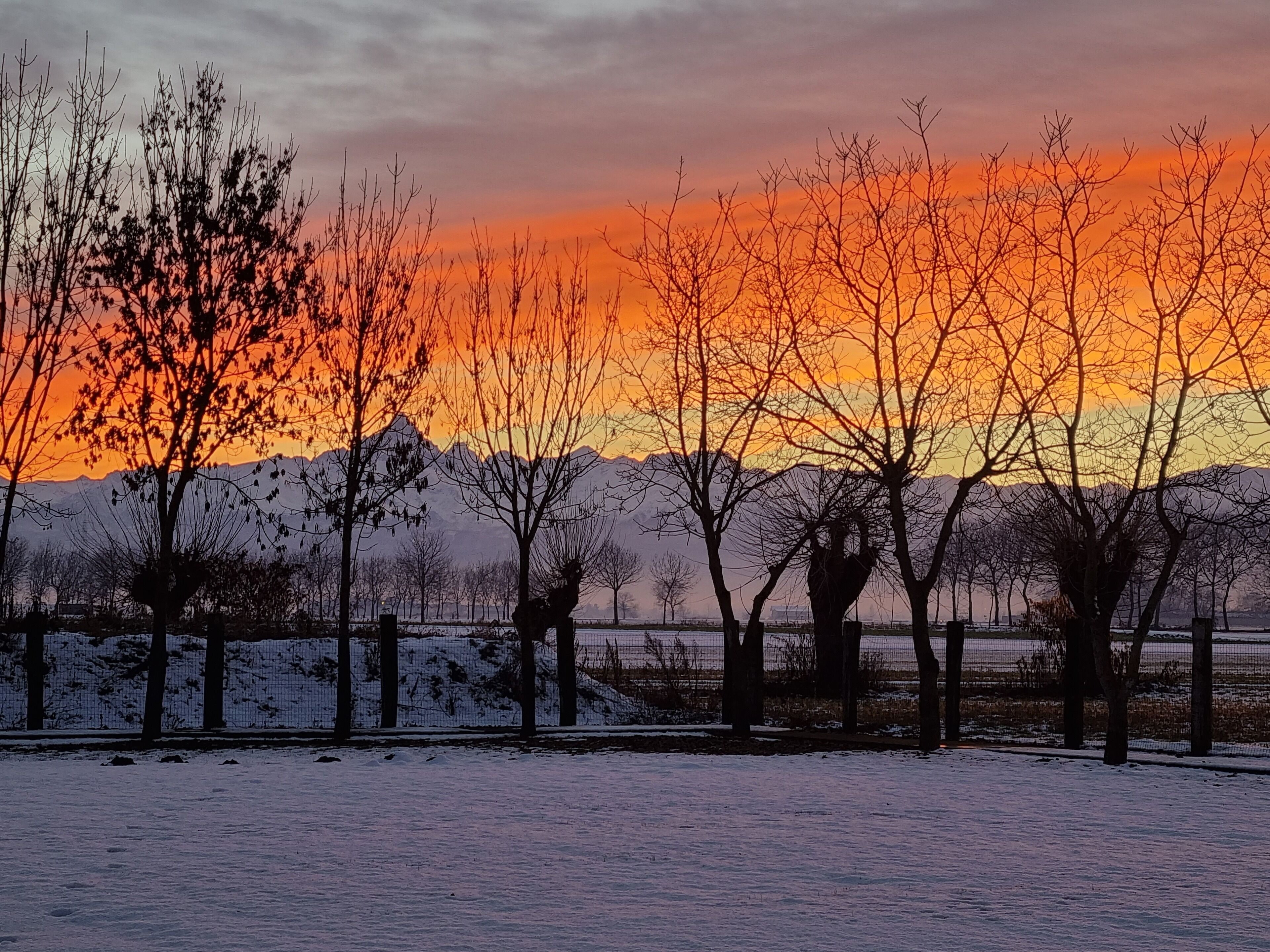 Paisagem de inverno com cerca, árvores e chão coberto de neve.