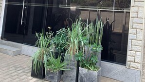 A modern building with a large glass facade and a brick exterior. There are three square planters with various plants in front of the entrance. - Centurion Apartments Limited (Abuja)