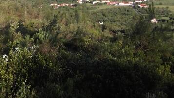 Un paisaje rural con casas dispersas y vegetación densa.
