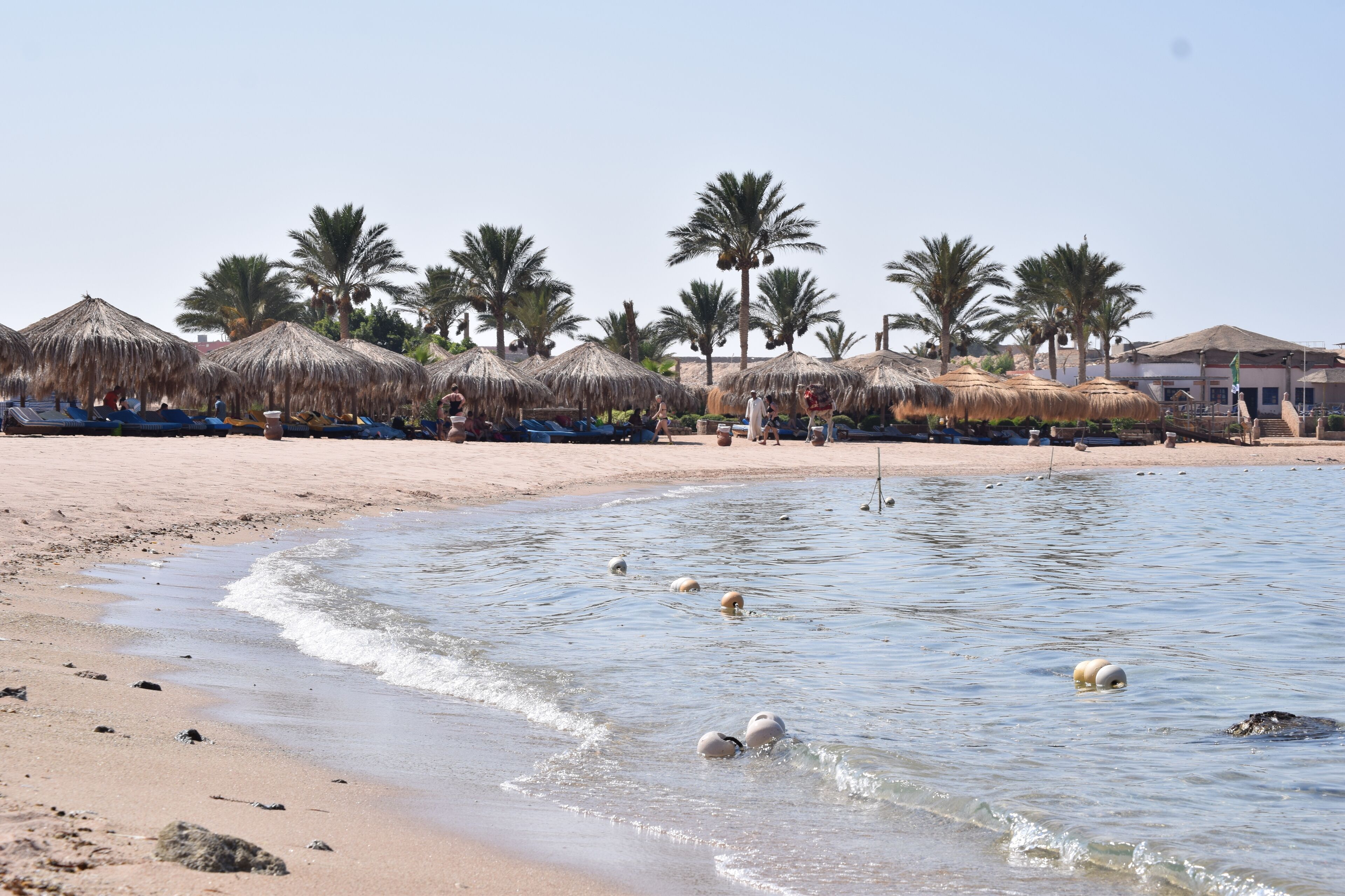 A beach with thatched umbrellas, palm trees, and a clear sky.