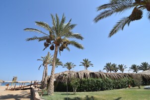 A beach resort with palm trees, a thatched-roof structure, and a wooden walkway leading to the beach.