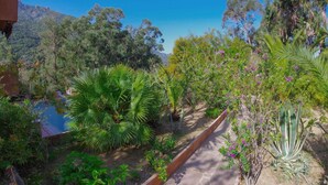 Un jardín con diversas plantas y un sendero.