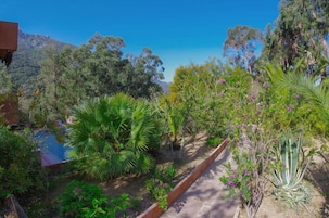 Un jardín con diversas plantas y un sendero.
