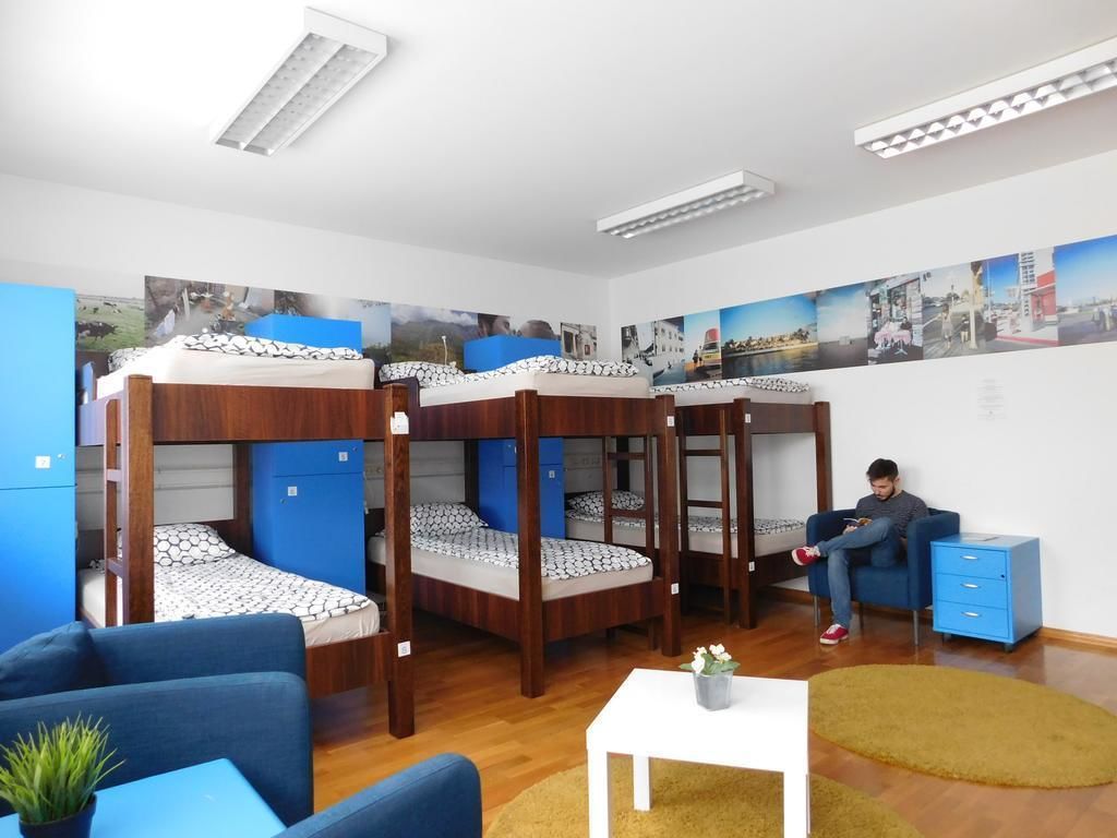 A dormitory room with bunk beds, a small table with a plant, a sofa, and a blue cabinet.