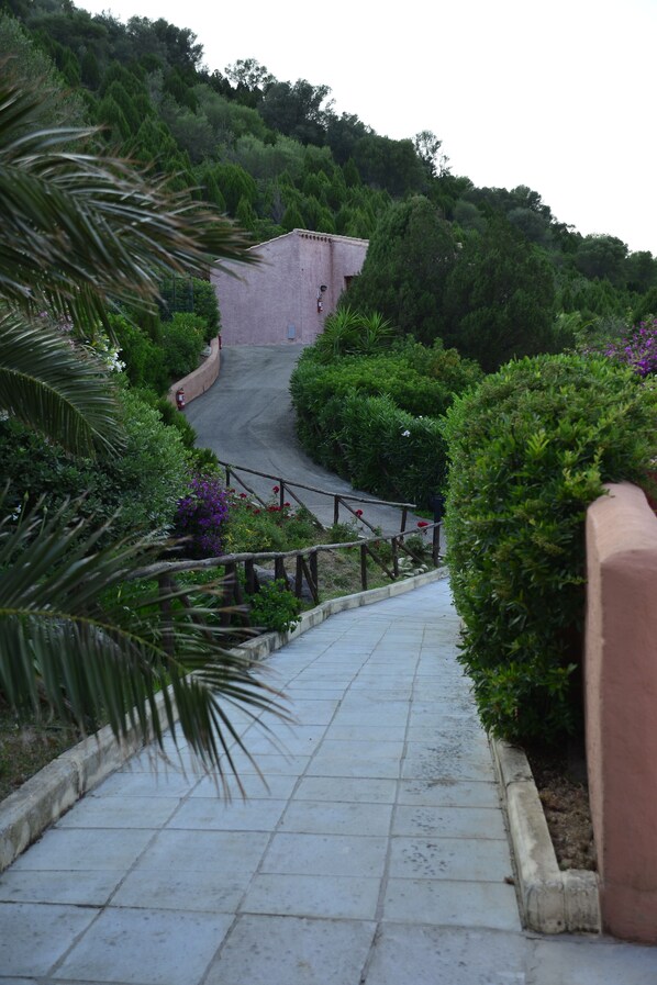 A paved pathway leading uphill with a guardrail, surrounded by lush greenery and a hill in the background.