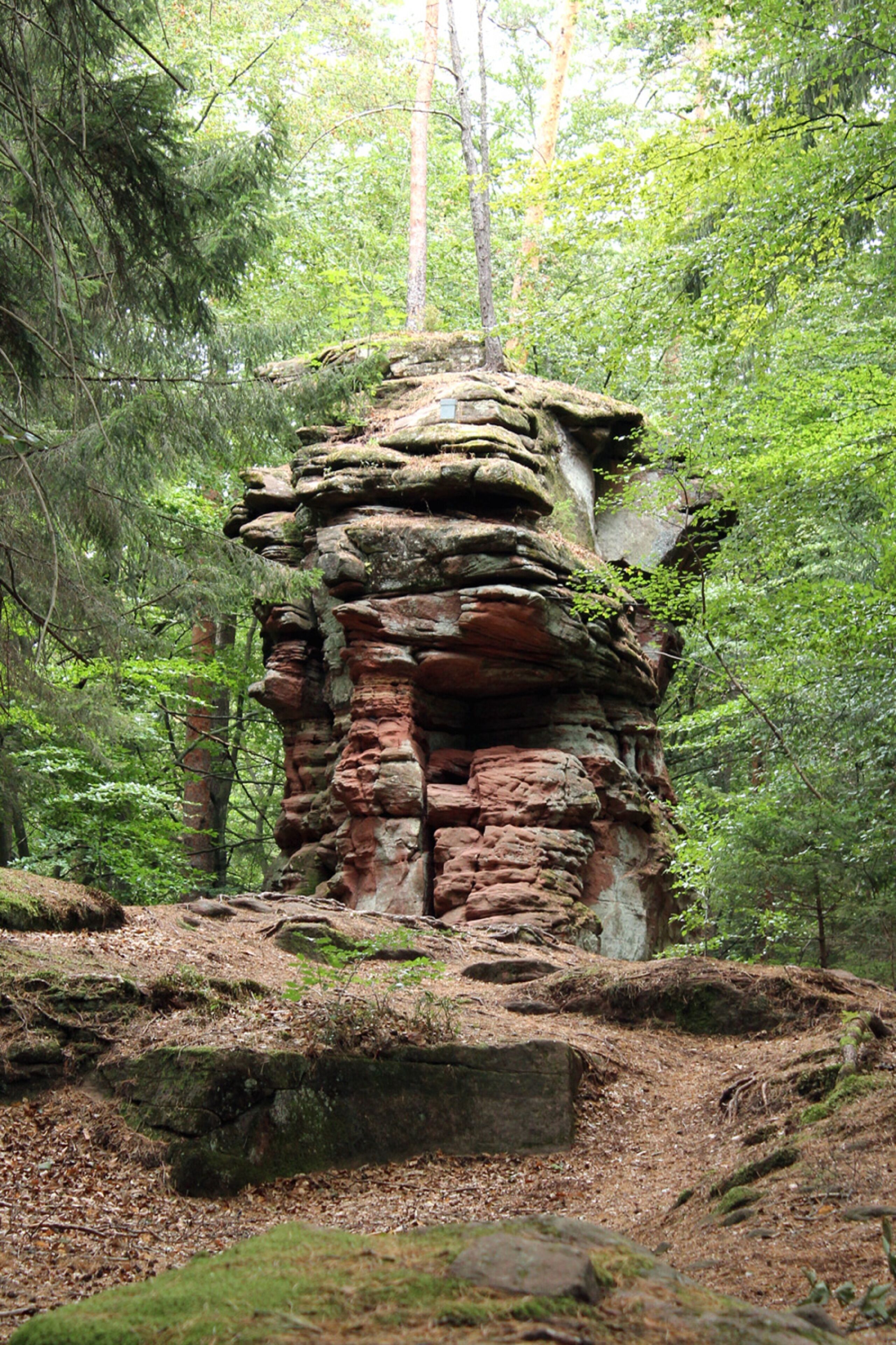 Severdighet