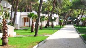 A pathway lined with palm trees and white buildings, leading to a covered area. - Baia dei Lombardi (Vieste)