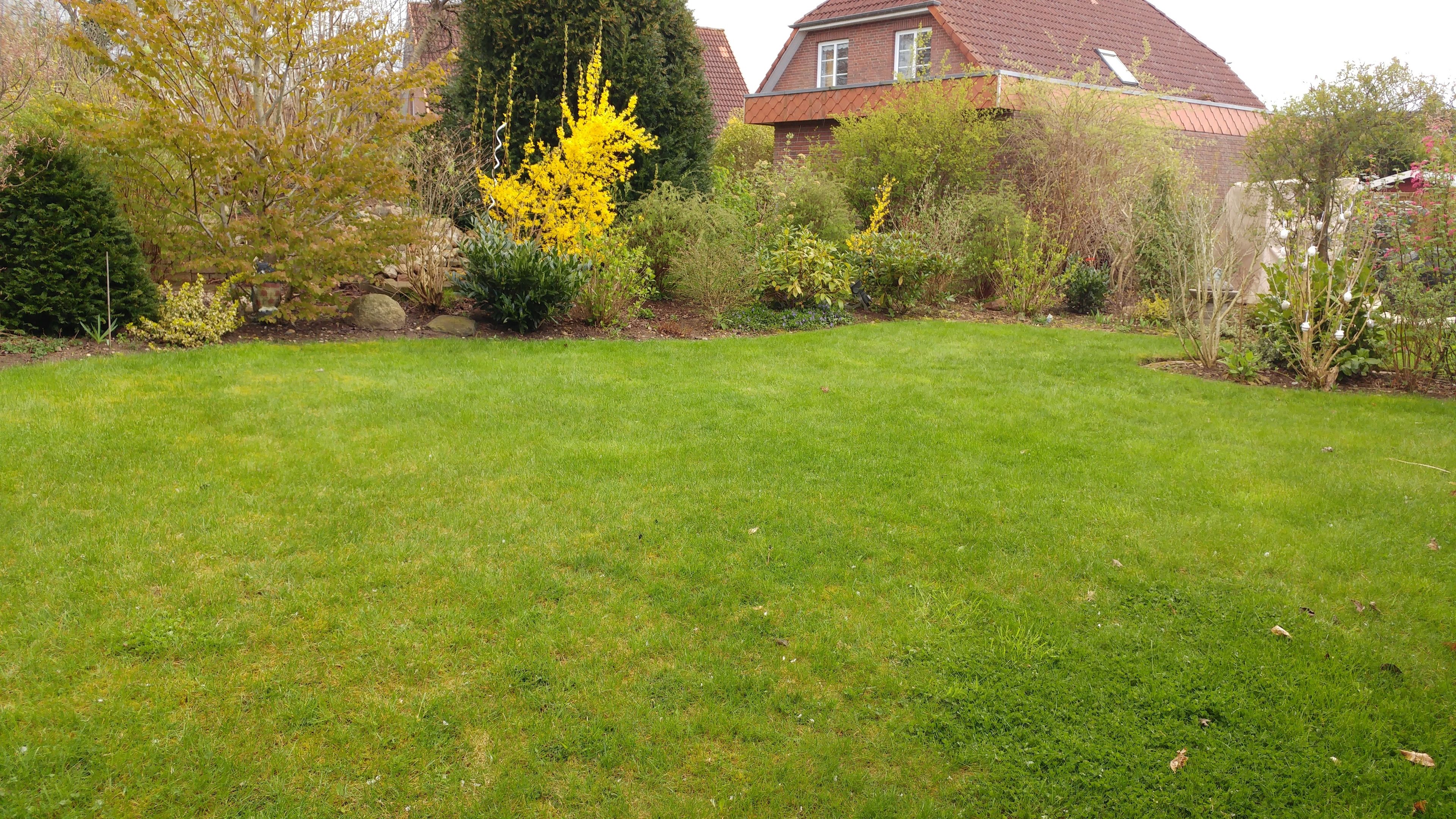A well-maintained lawn with a variety of shrubs and trees, a brick house with a red roof, and a clear sky.