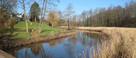 Wandelen