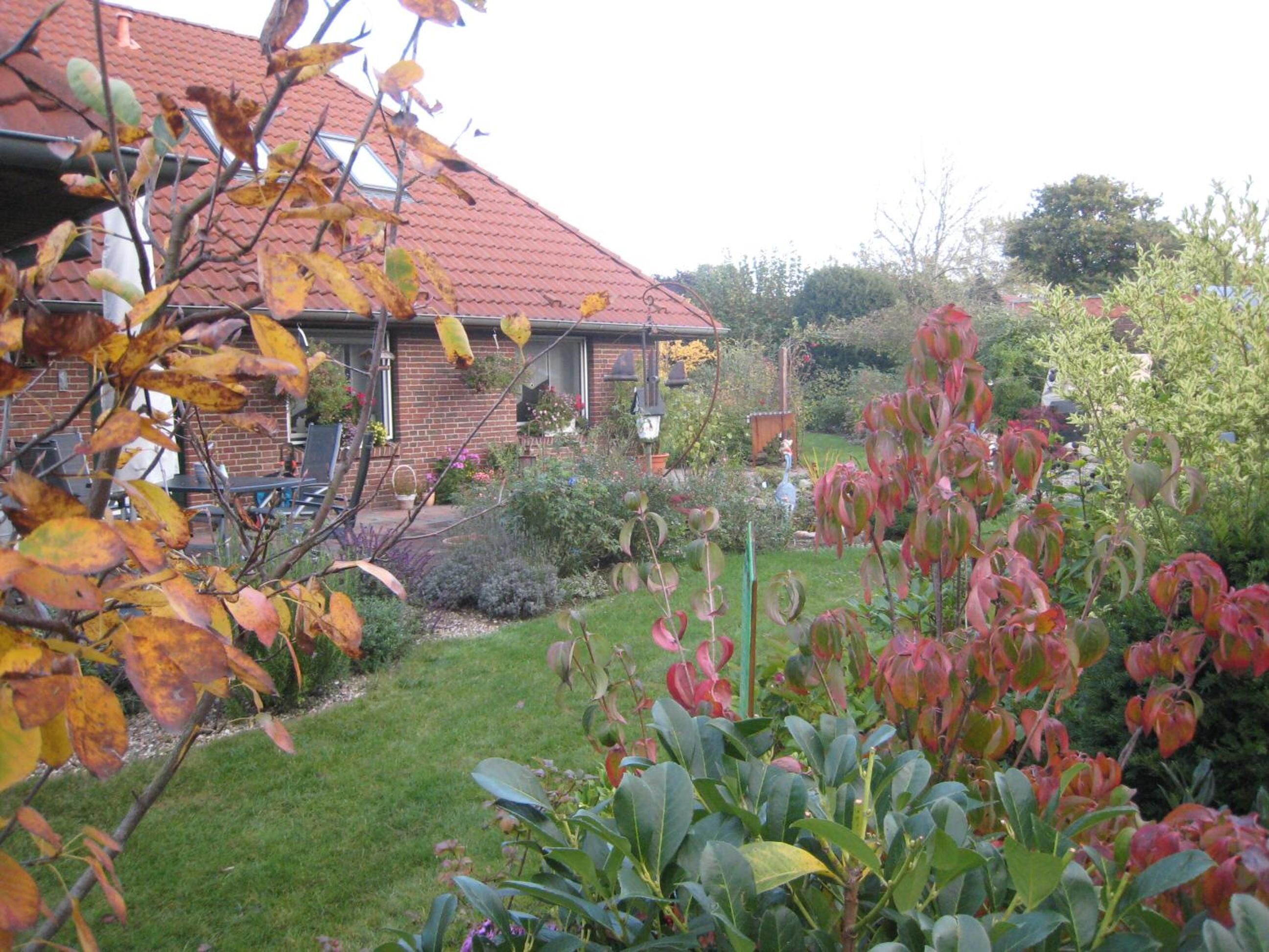 A residential garden with a brick house, a lawn, and various plants.