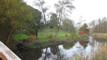 Eine friedliche Flusslandschaft mit einer Holzbrücke, üppiger Vegetation und einem Haus in der Ferne.