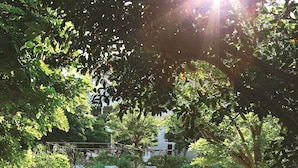 A backyard with a pool, a swing chair, and lush greenery. - Arambrook Boutique Hotel (Cape Town)