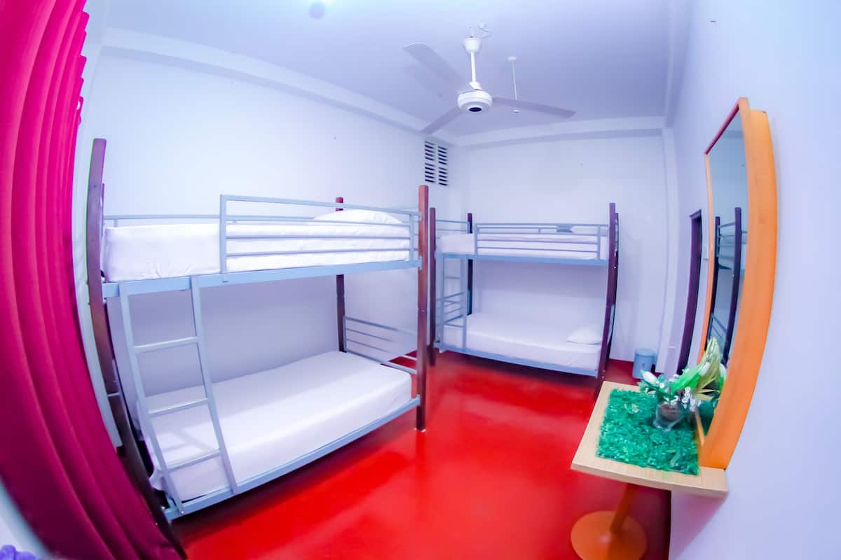 A room with bunk beds, a ceiling fan, a small table with a plant, and a mirror on the wall.
