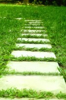 Jardín