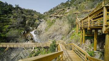 Un escalier en bois mène à une plateforme en bois d’où l’on peut admirer une cascade.