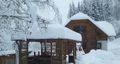 Holiday home in a quiet location in the beautiful Carinthian Alps