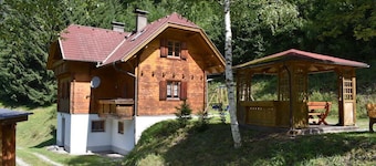 Rustig gelegen vakantiehuis in de prachtige Karinthische Alpen