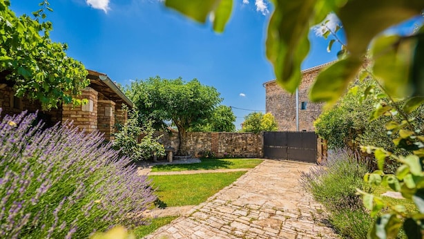 A stone pathway leading to a rustic building with a stone wall and a tree in the center. - Spacious and comfortable Villa in the heart of Barban (Grandici)