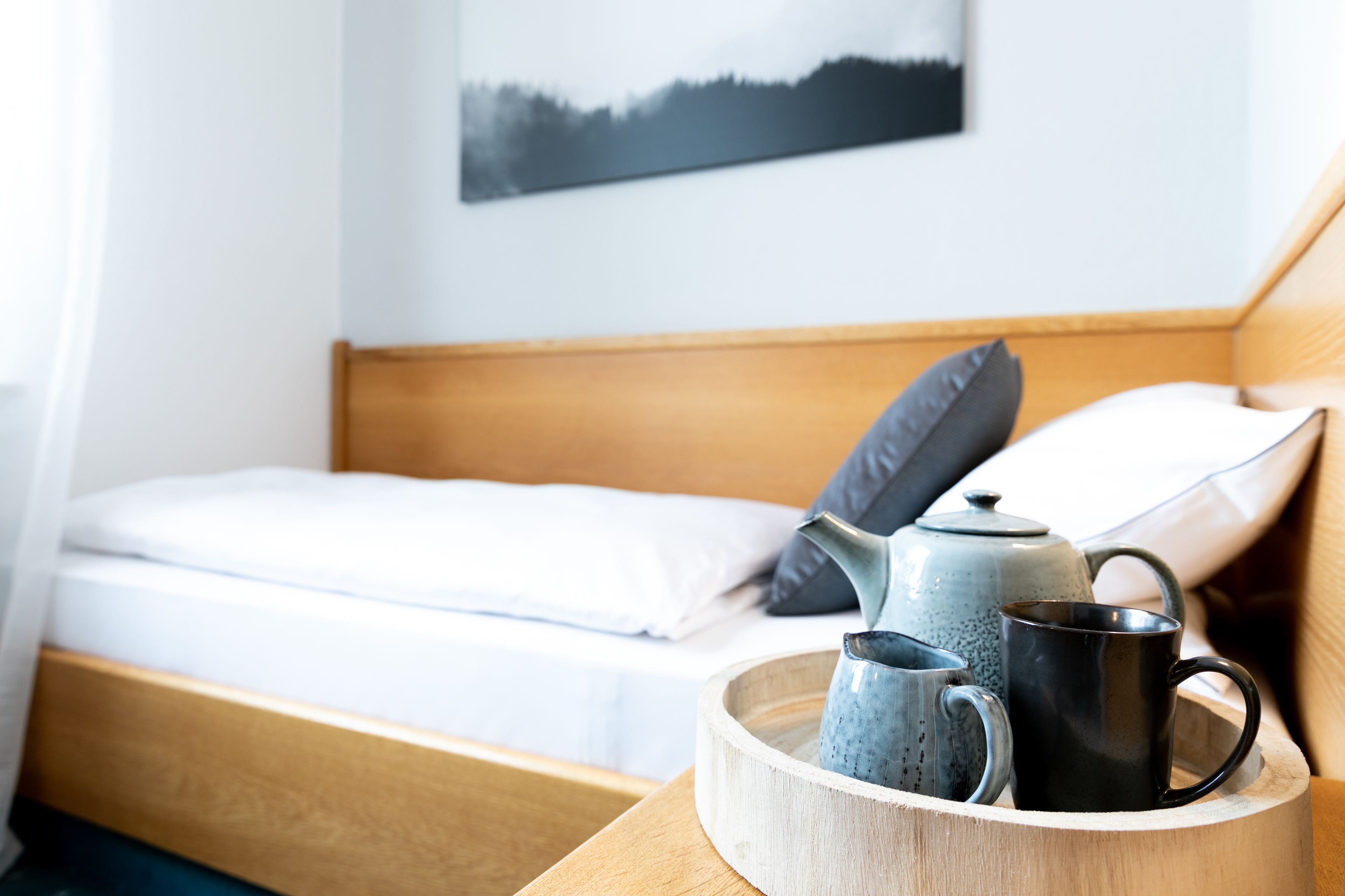 Basic Single Room, 1 Twin Bed, Non Smoking, City View | Premium bedding, down comforters, desk, blackout drapes