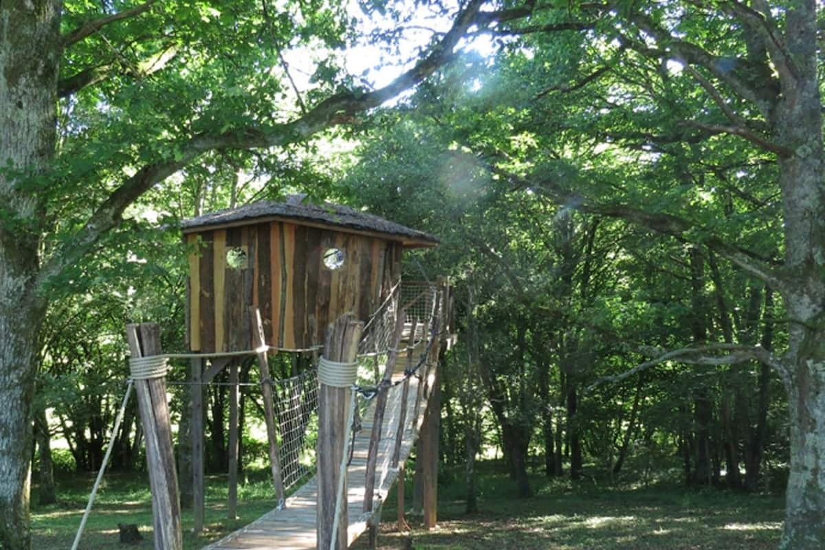 Tree House, 1 Double Bed, Non Smoking | Individually decorated, individually furnished, blackout curtains