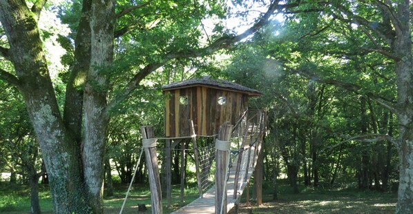 Décoration personnalisée, ameublement personnalisé, rideaux occultants