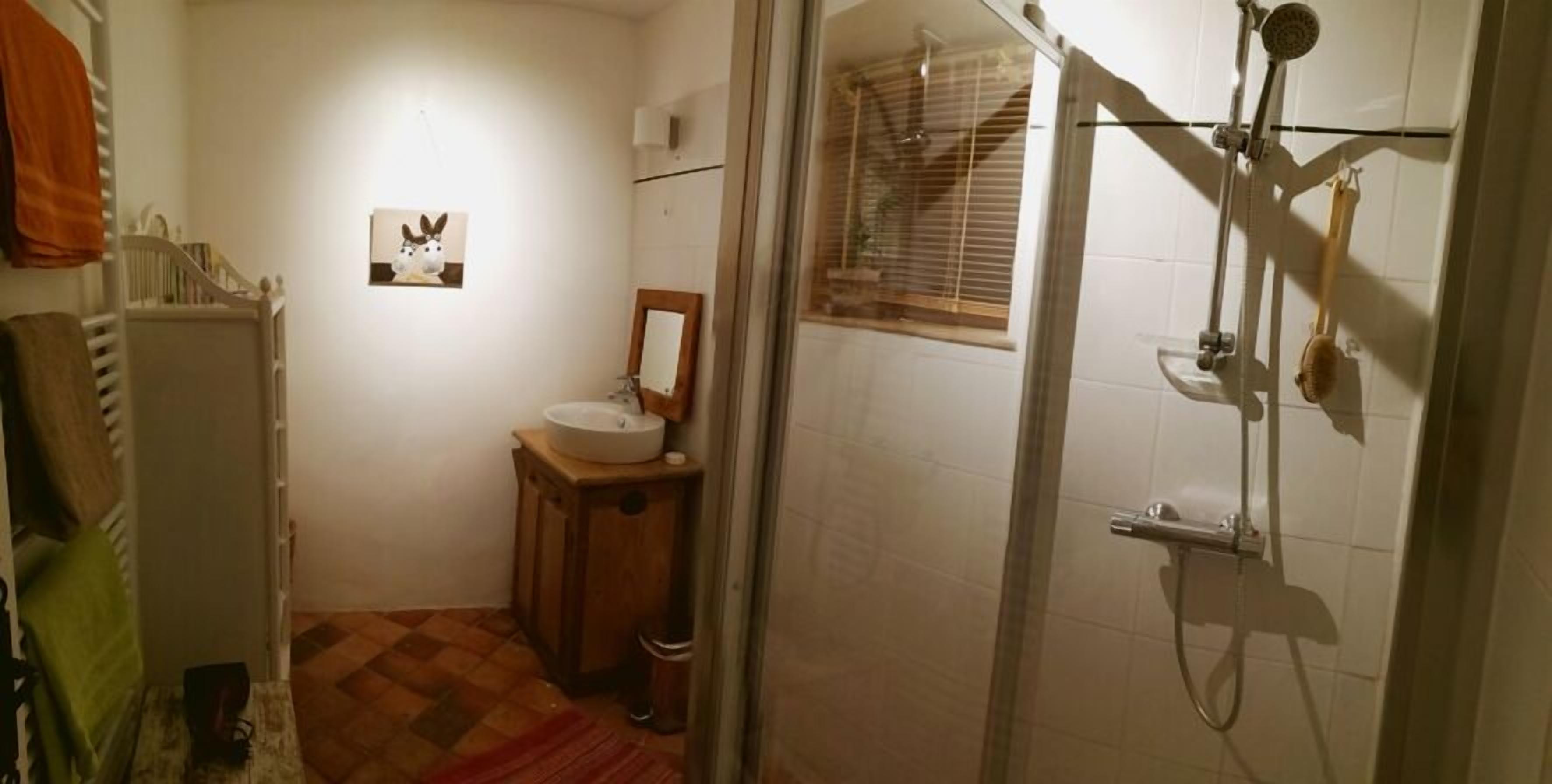 Un baño pequeño con lavamanos, espejo y ducha.