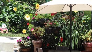 Un espacio al aire libre con mesa y sillas, rodeado de macetas con plantas y flores.
