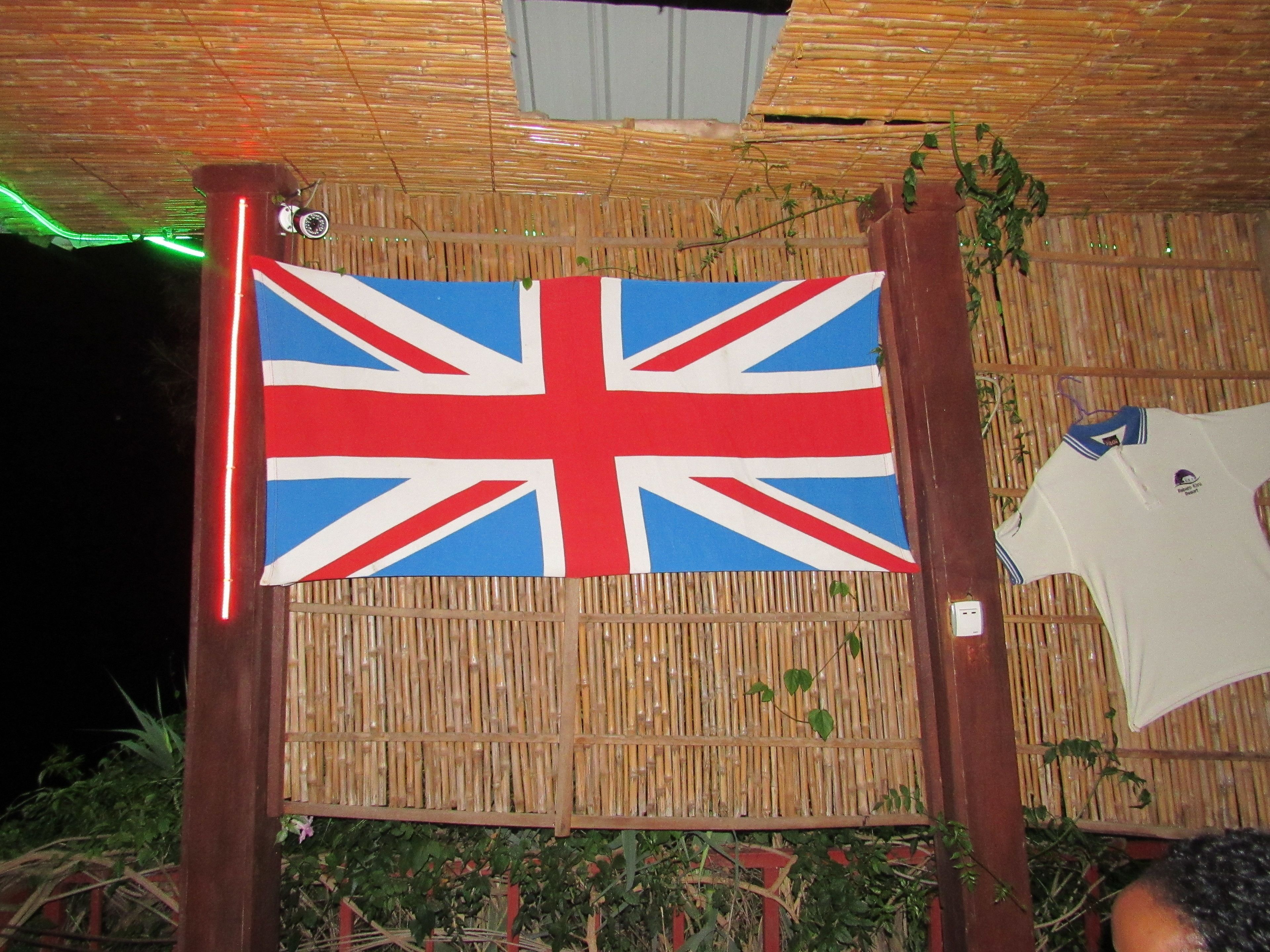 A room with a bamboo wall and a flag.