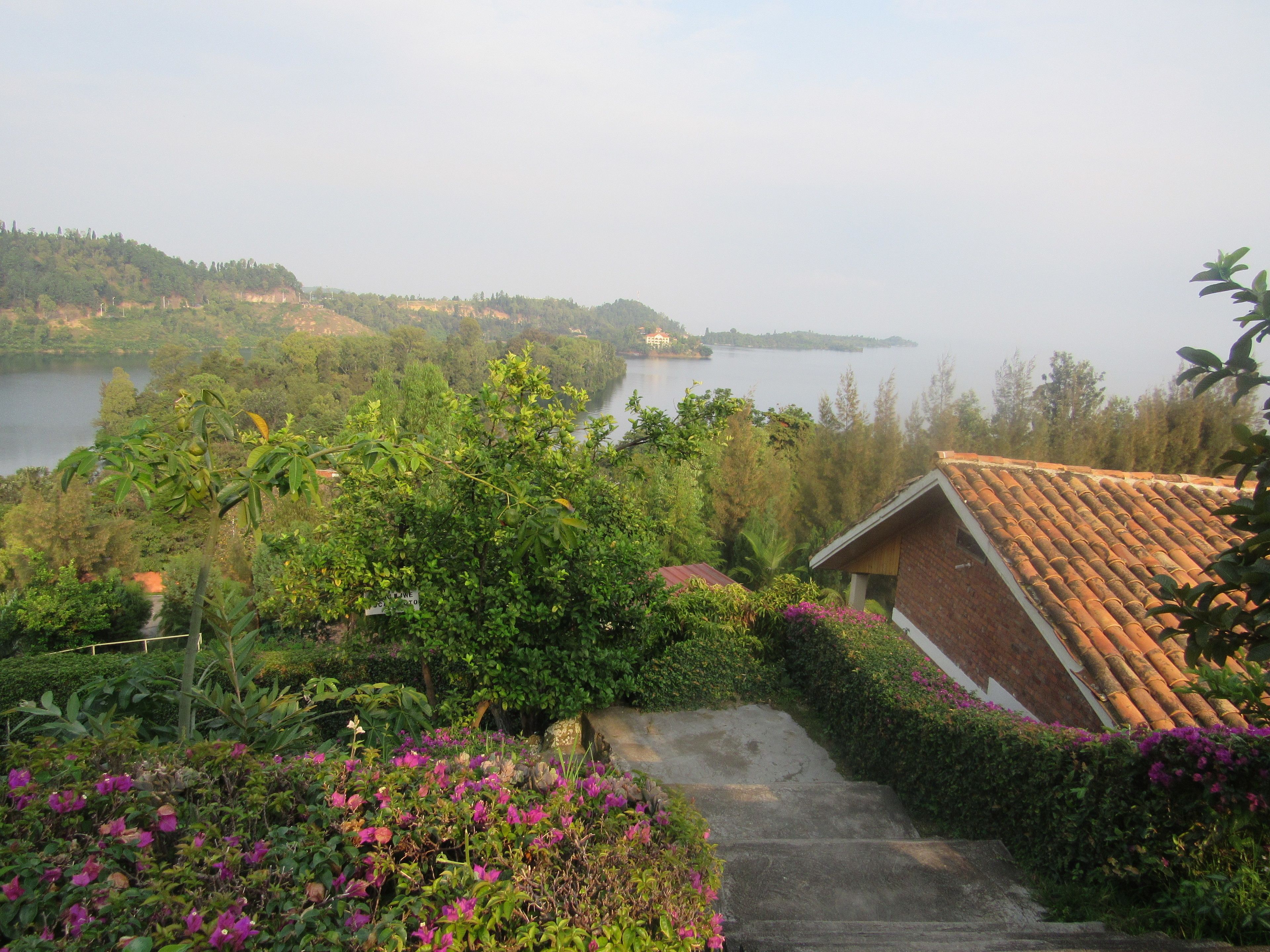A view of a hillside with a building with a tiled roof, surrounded by lush greenery and a body of water in the background.
