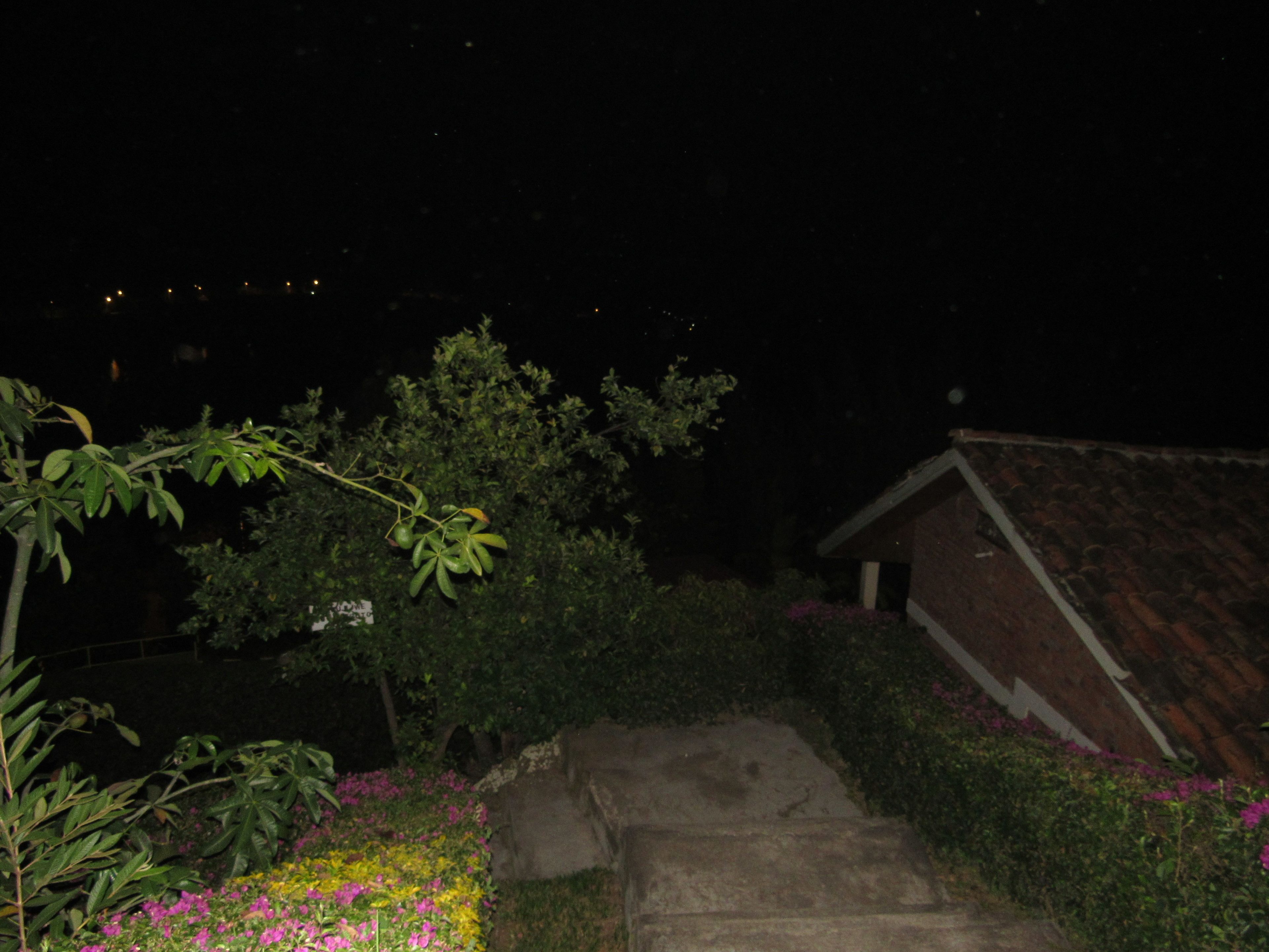 A nighttime view of a garden with a stone pathway leading to a building with a tiled roof.