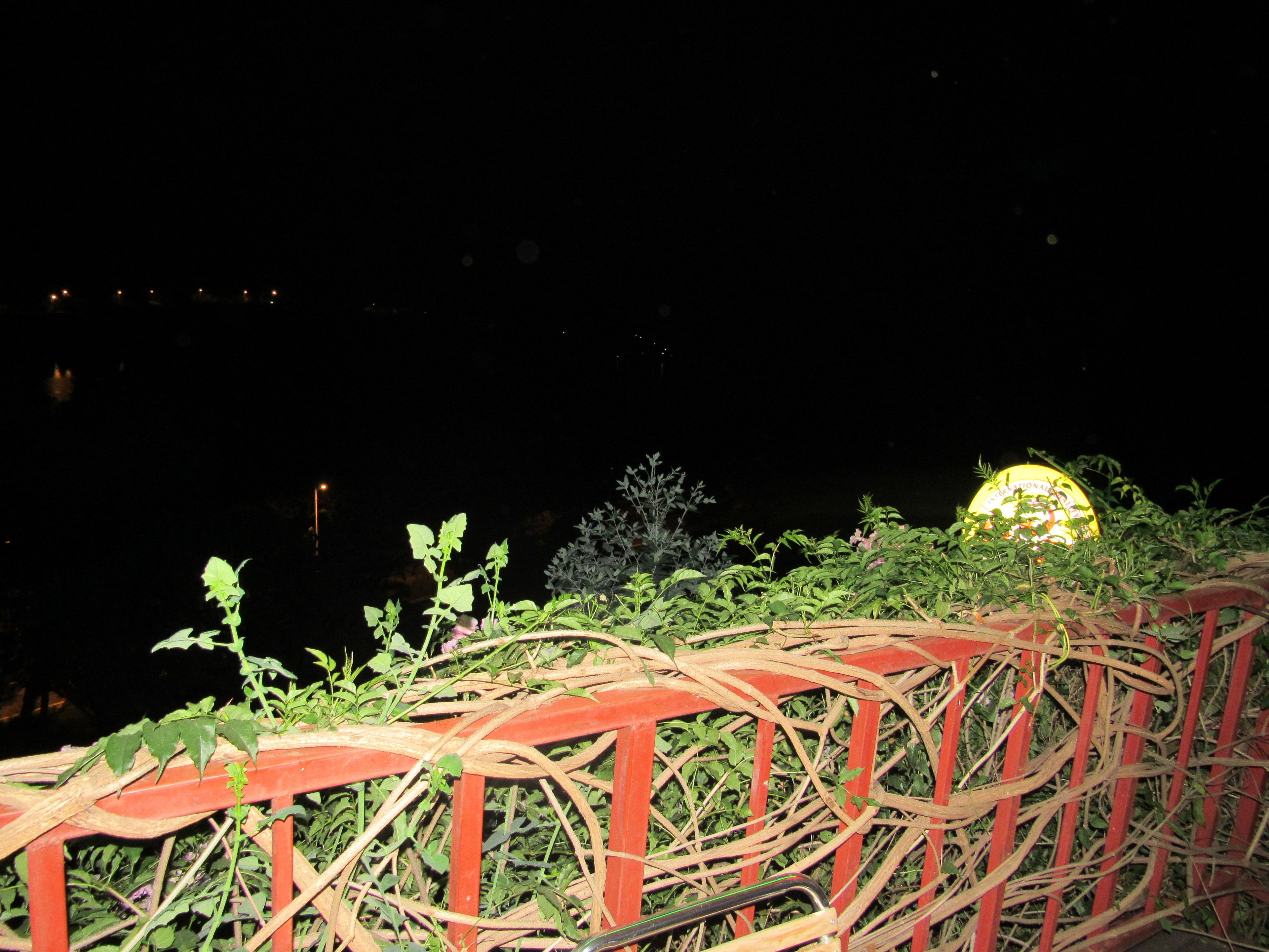 Vista nocturna de un puente con baranda roja, rodeado de follaje y un letrero iluminado al fondo.