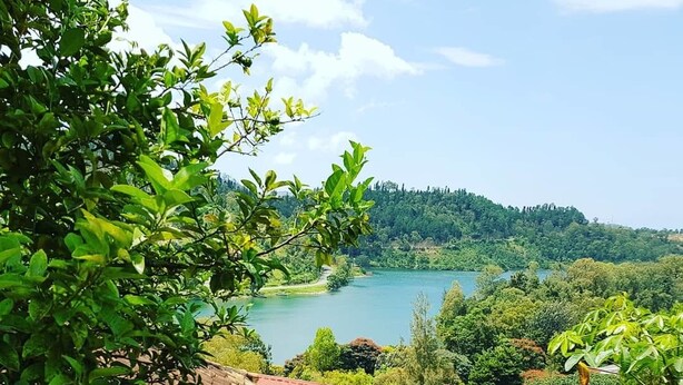 A view of a house with a red roof and a satellite dish, surrounded by lush greenery and purple flowers. - Rebero Kivu Hotel (Bwishyura)