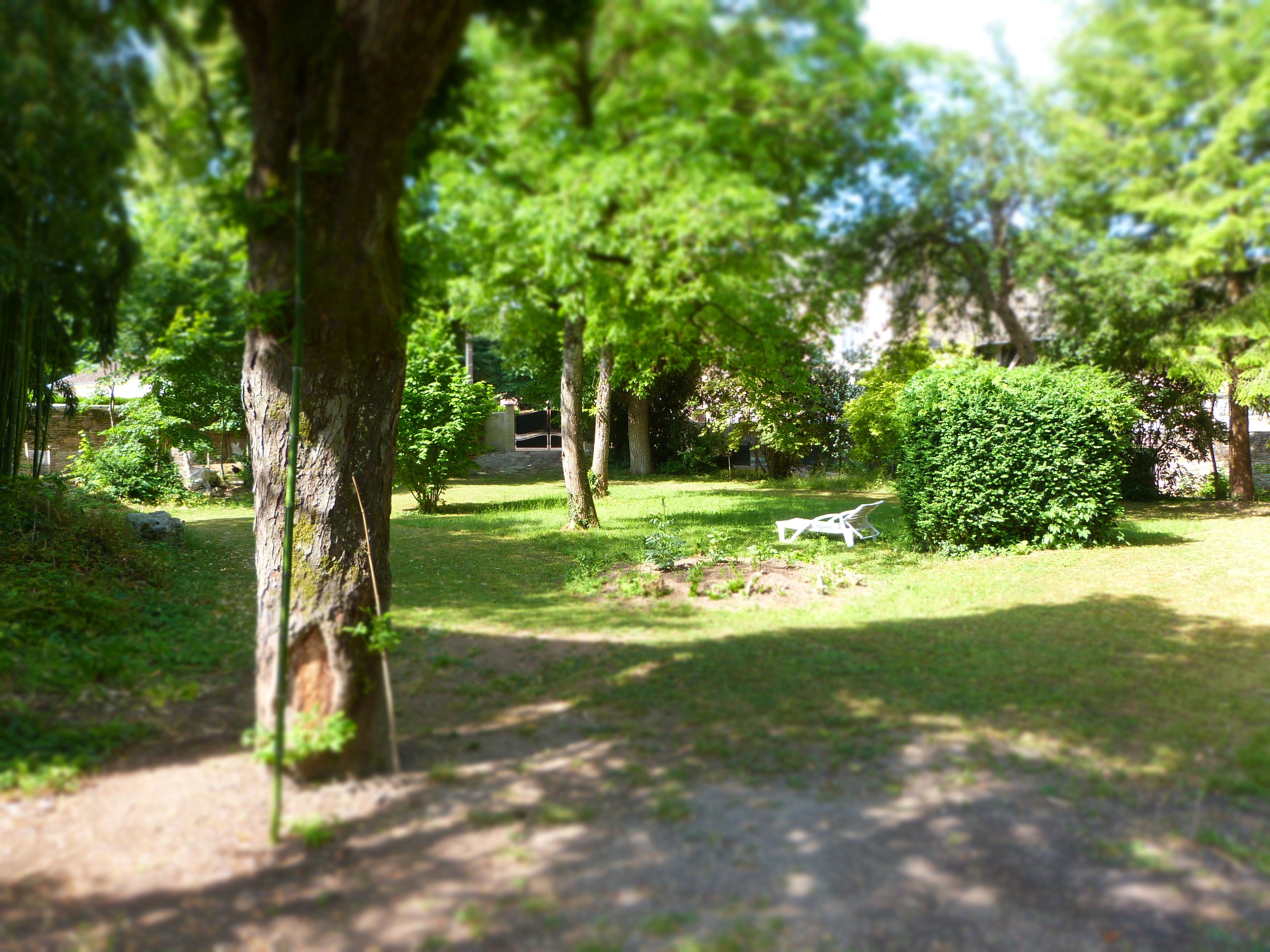 A park with a white bench, trees, and a grassy area.