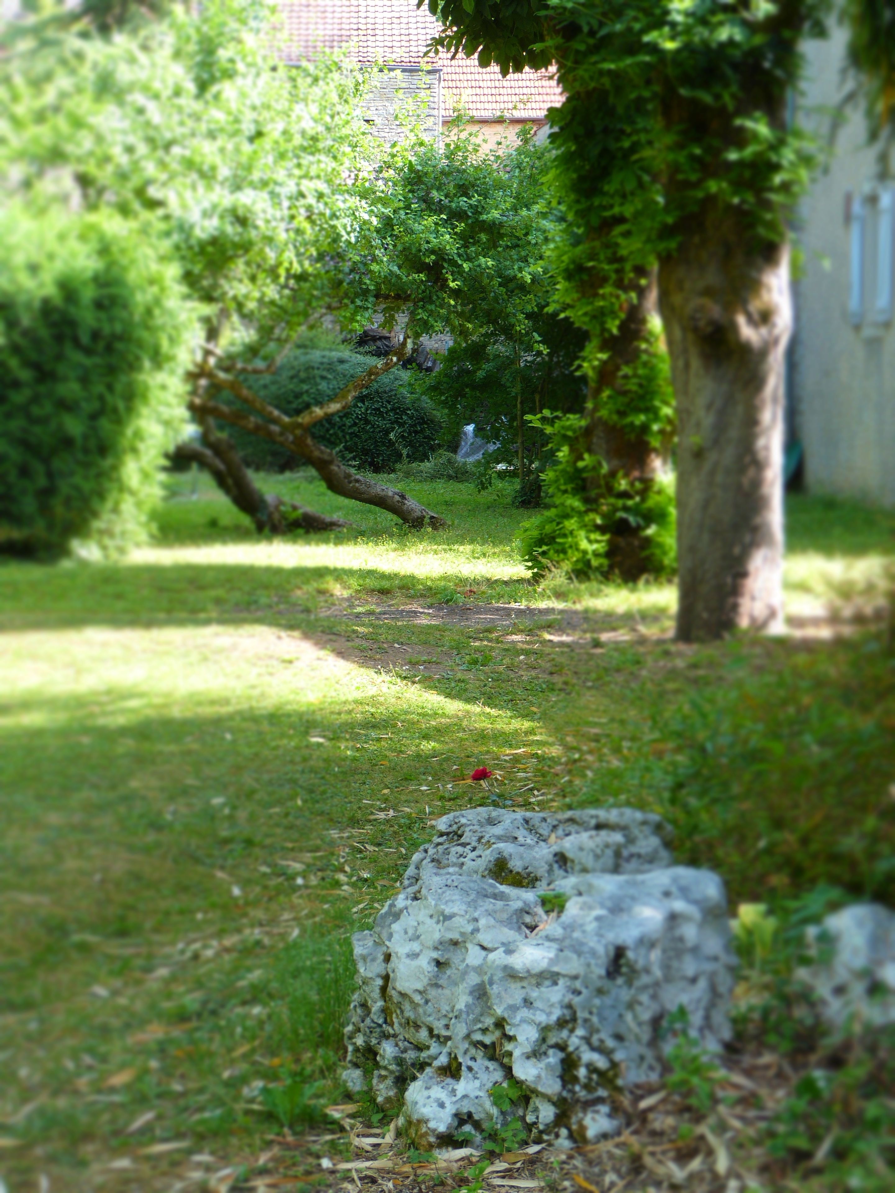 Un jardin avec une structure en pierre, un arbre et un bâtiment en arrière-plan.