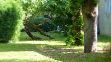 Un jardin avec une structure en pierre, un arbre et un bâtiment en arrière-plan.