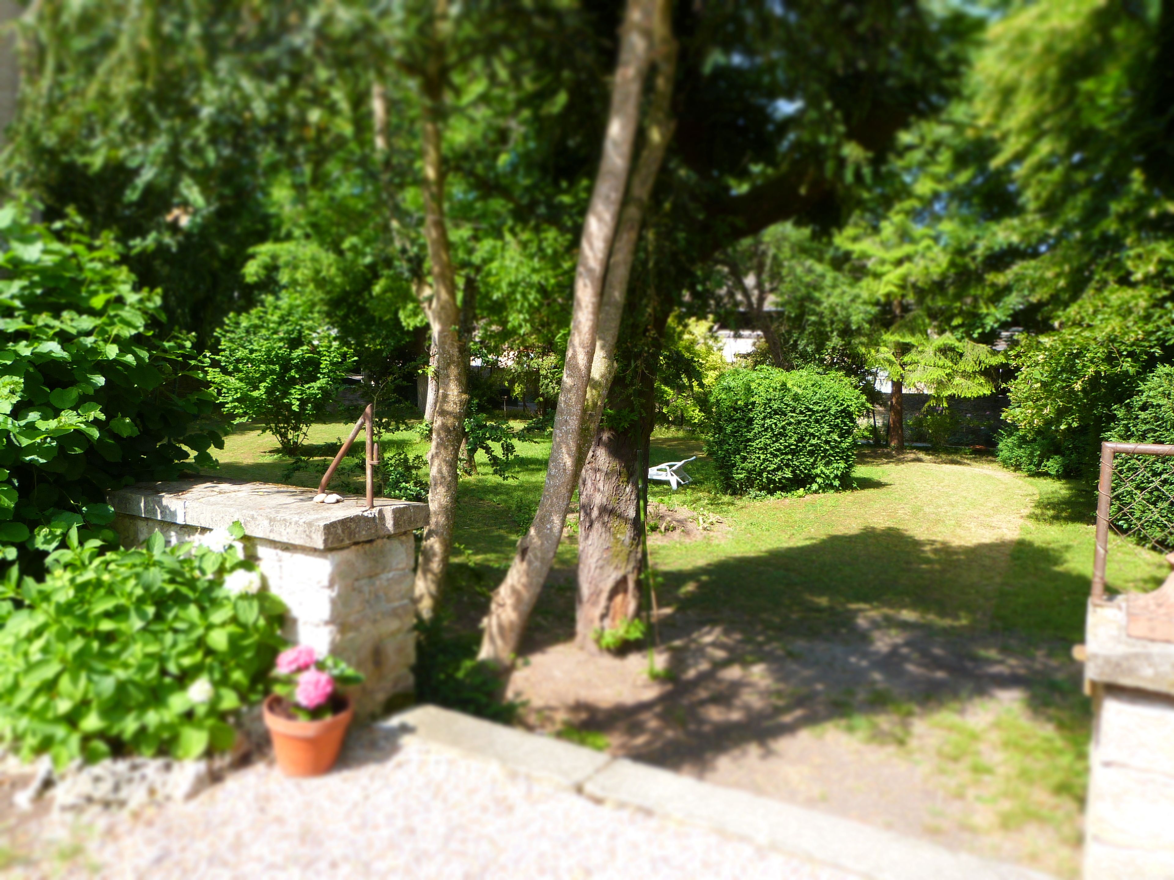 A garden with a stone bench, a potted plant, and a pathway leading through lush greenery.