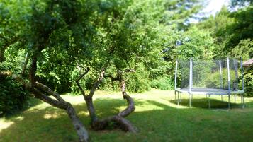 A trampoline in a grassy area with trees and a fence.
